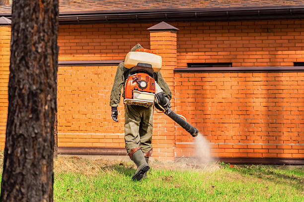 Top rated local Wasp Removal specialists in Russellville, KY